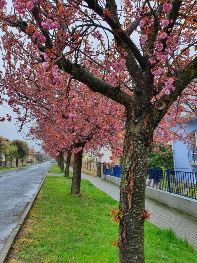 Laguna Apartmanhaz Hévíz Εξωτερικό φωτογραφία
