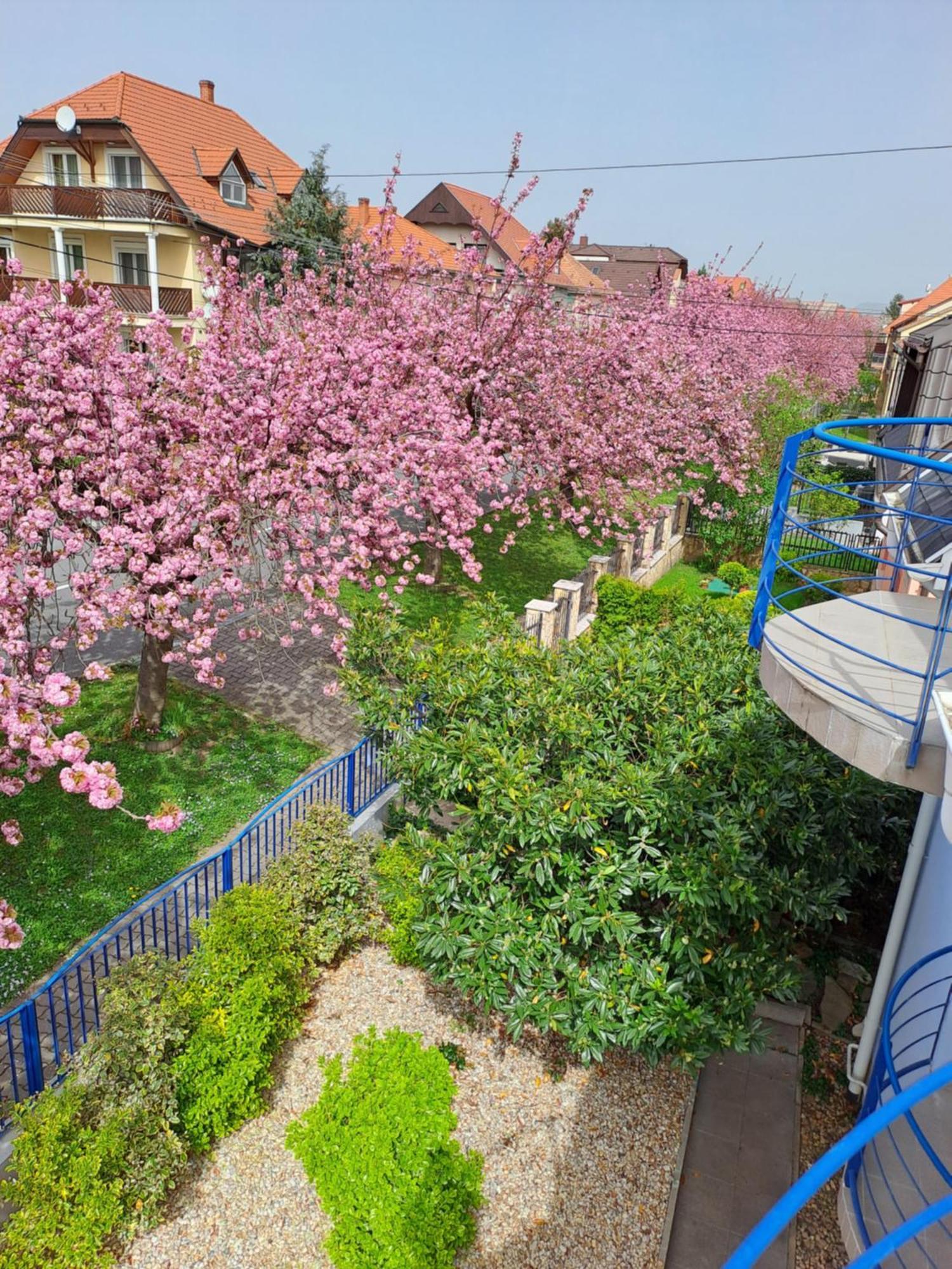 Laguna Apartmanhaz Hévíz Εξωτερικό φωτογραφία